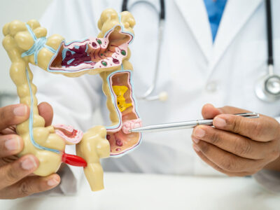 Curso de Fundamentos Anatómicos y Fisiológicos del Digestivo y del Sistema Urinario para TES