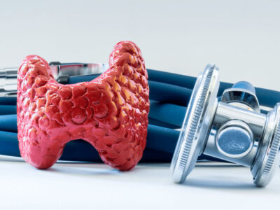 Curso de Fundamentos Anatómicos y Fisiológicos del Sistema Endocrino y Aparato Genital para TCAE